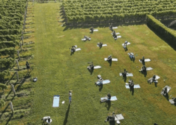 Yoga in the Vines at The Wine Stand